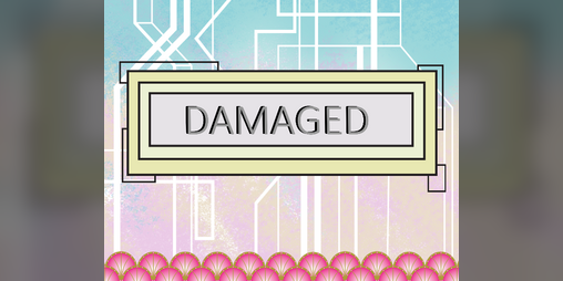 Cover image for Damaged