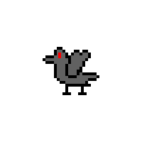 Cover image for Bird Problems