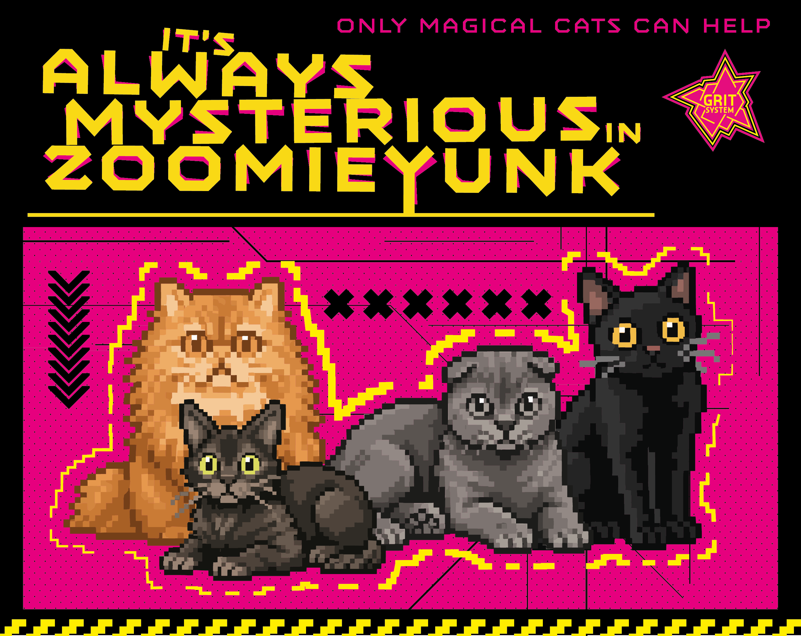 Cover image for It's Always Mysterious in ZOOMIEYUNK