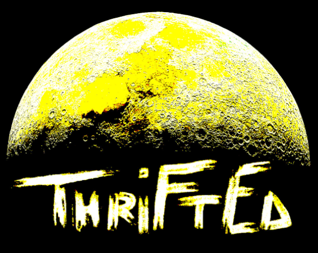 Cover image for Thrifted