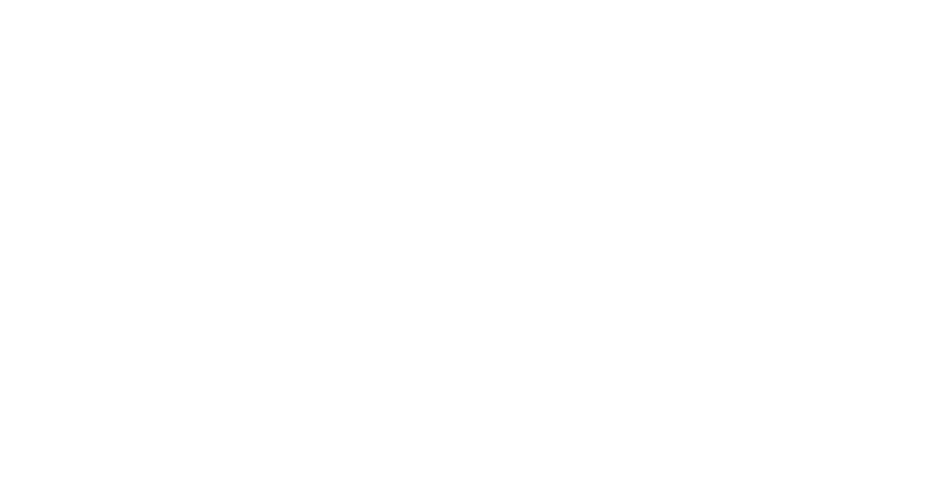 NERVE