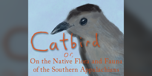 Cover image for Catbird