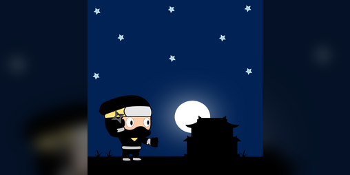 Cover image for The Ninja of Nara