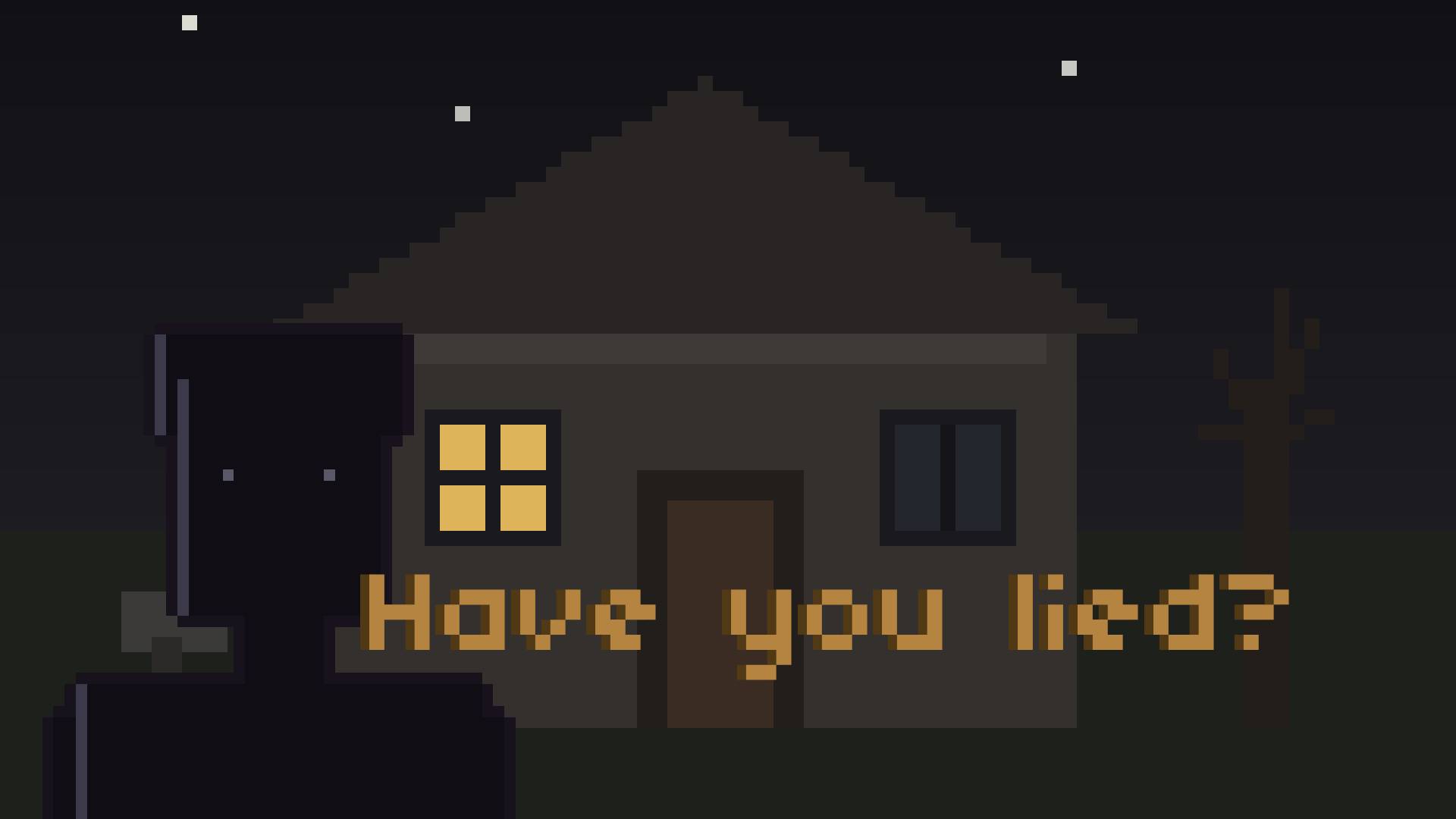 Cover image for Have you lied?
