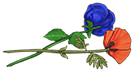 Poppy and Blue Rose