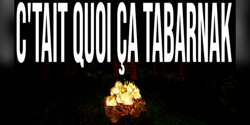 Cover image for C'TAIT QUOI ÇA TABARNAK?