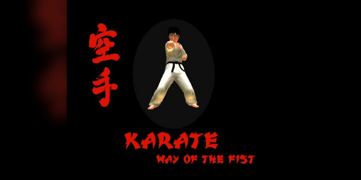Cover image for KARATE - Way Of The Fist