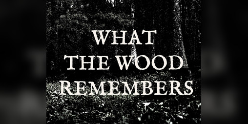 Cover image for What the Wood Remembers