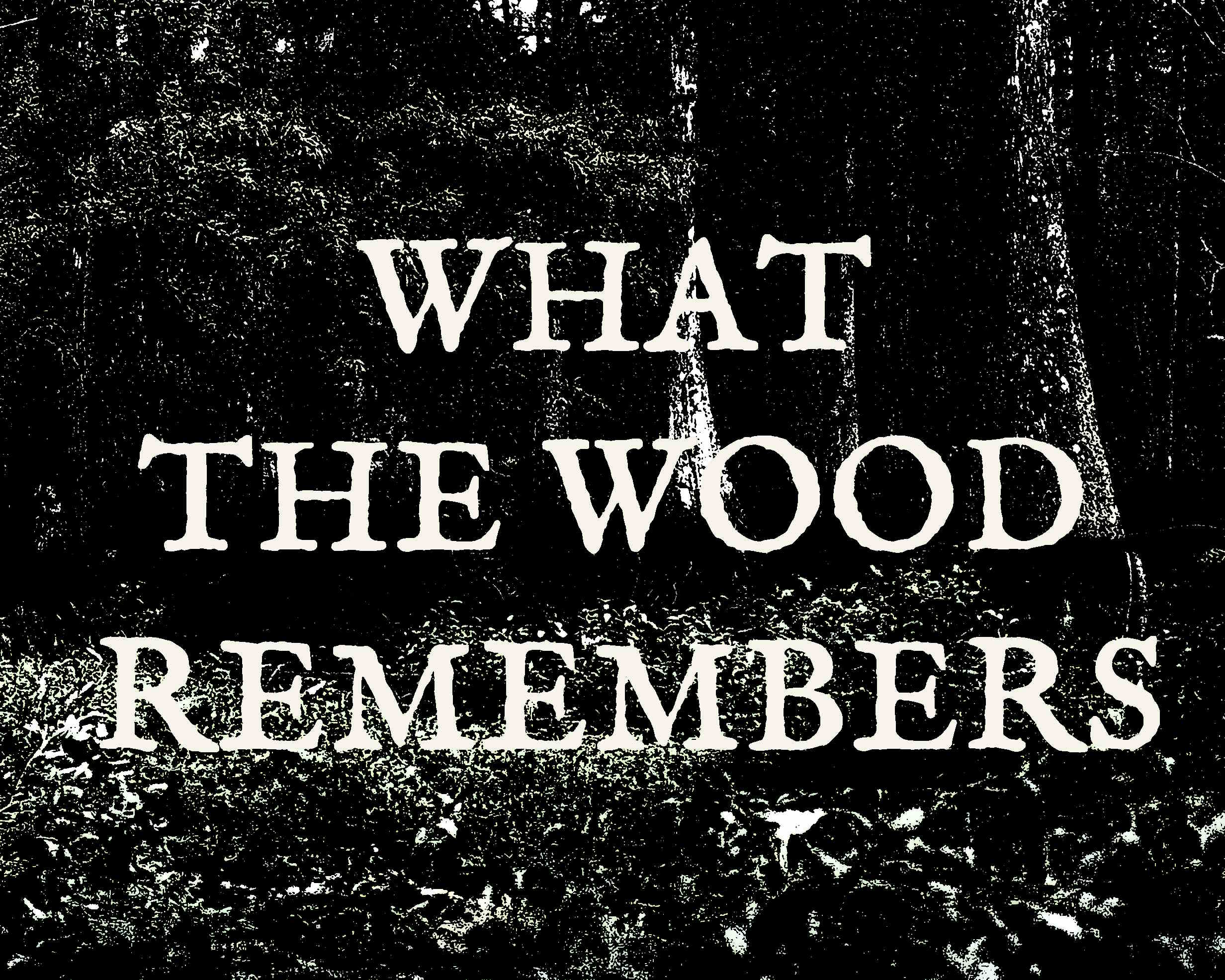 Cover image for What the Wood Remembers