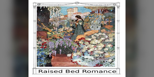 Cover image for Raised Bed Romance