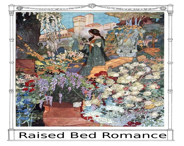 Cover image for Raised Bed Romance