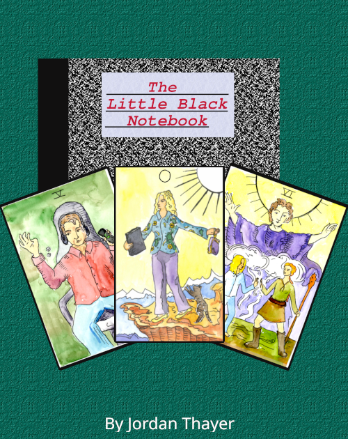 Cover image for The Little Black Notebook