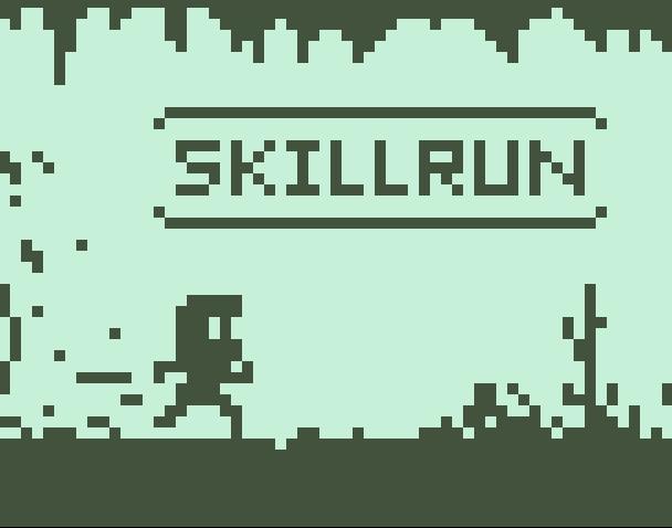 Cover image for Skillrun