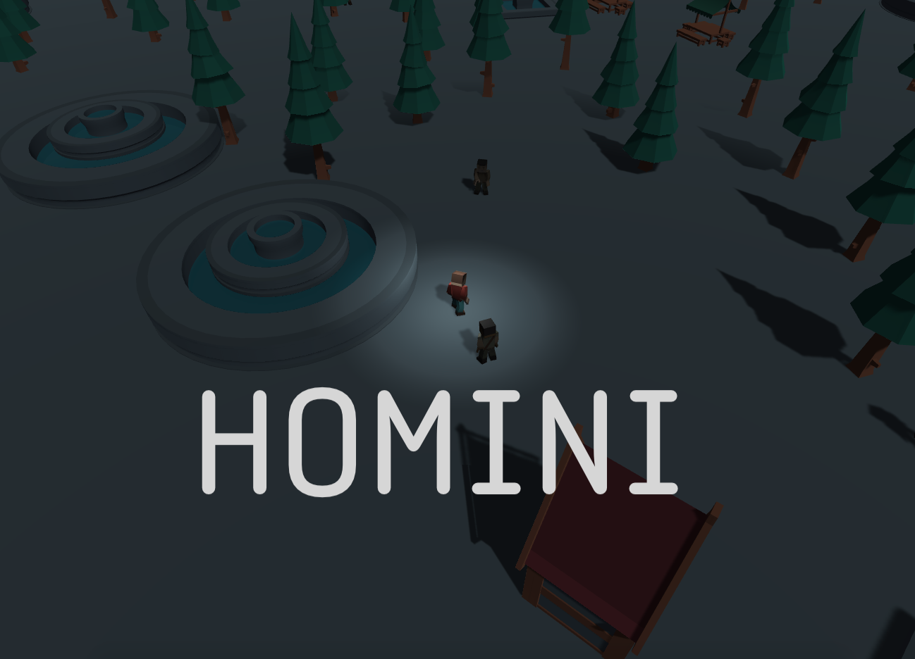 Cover image for Homini