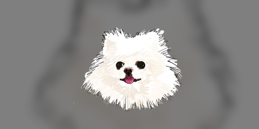 Cover image for The Pomeranian