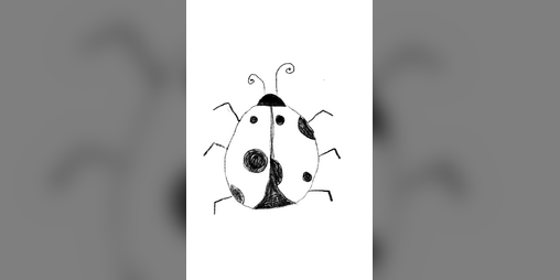 Cover image for Stray Pets
