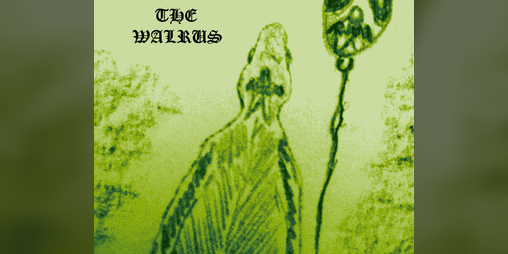 Cover image for The Walrus