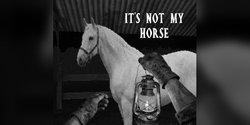 Cover image for it's not my horse