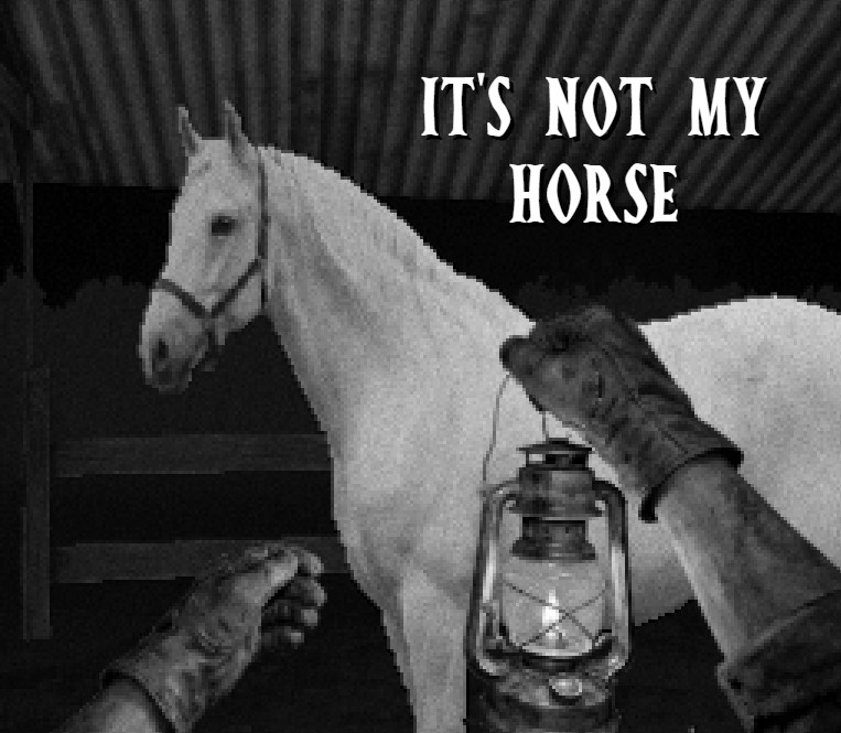 Cover image for it's not my horse