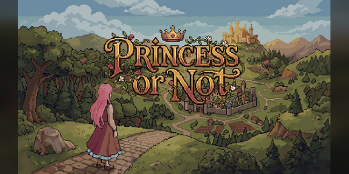 Cover image for Princess or Not