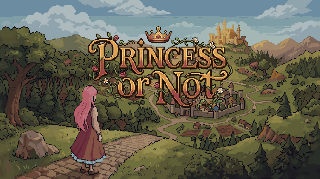 Cover image for Princess or Not