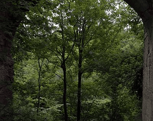 Rain sounds and birdsong. [$2.00] [Other]