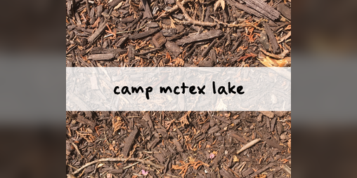 Cover image for Camp McTex Lake