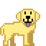 doggy doggy