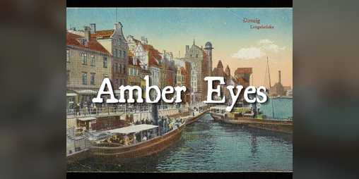 Cover image for Amber Eyes