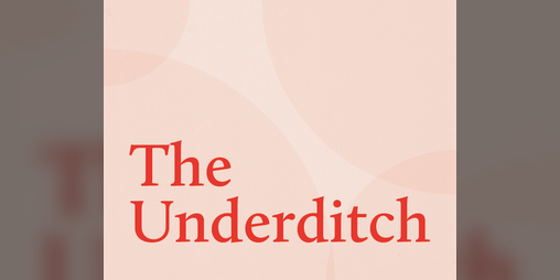 Cover image for The Underditch