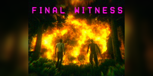 Cover image for Final Witness