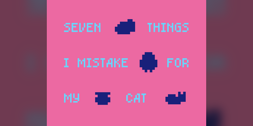 Cover image for 7 Things I Mistake for My Cat