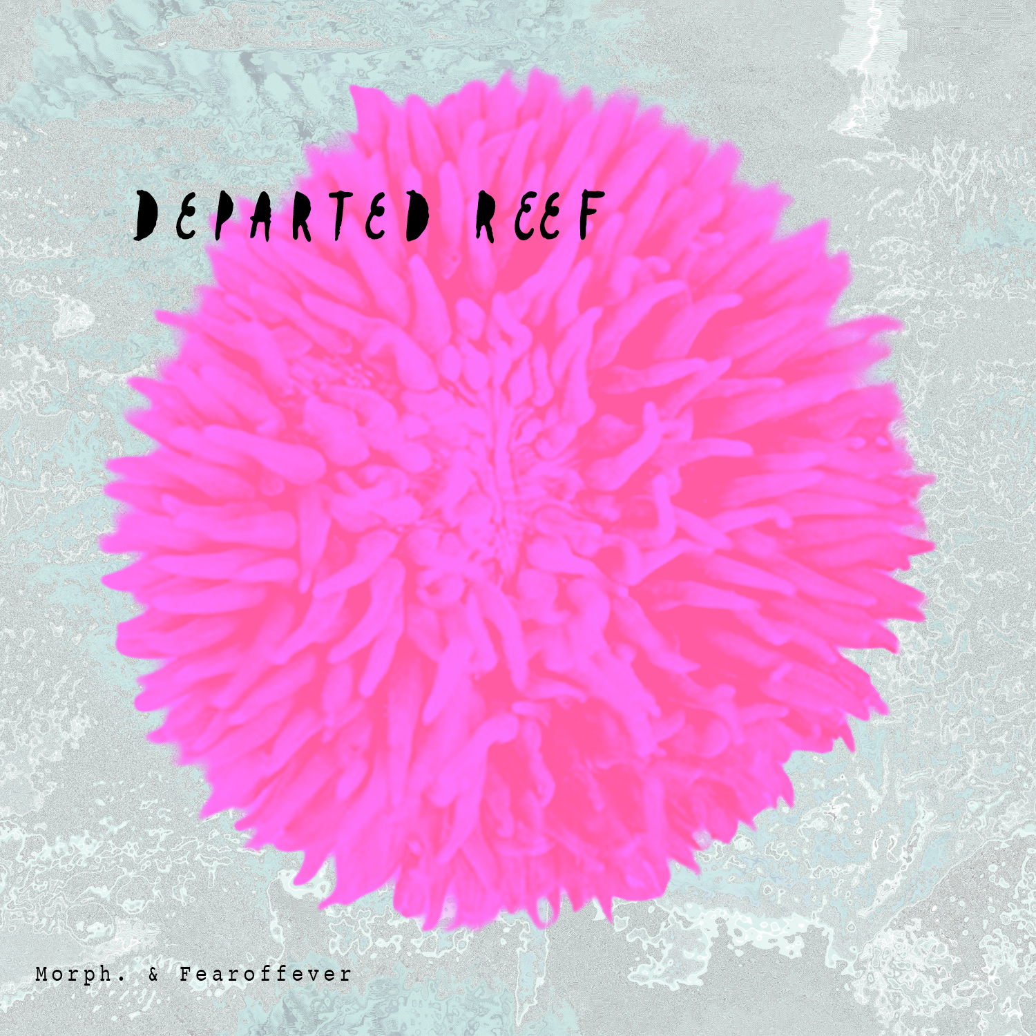 Departed Reef.