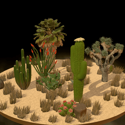 FREE] 3D Desert Plants Pack by Polyy.AI