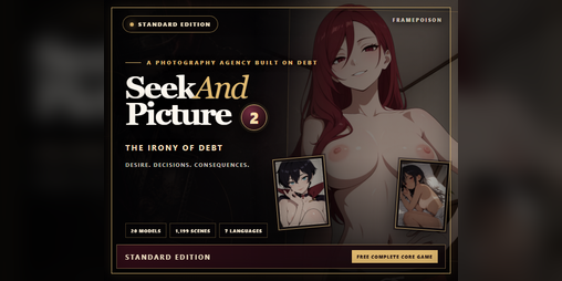 Cover image for SeekAndPicture 2 - The Irony of Debt