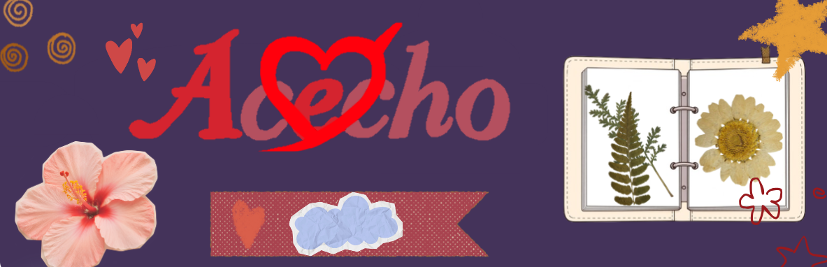 Acecho