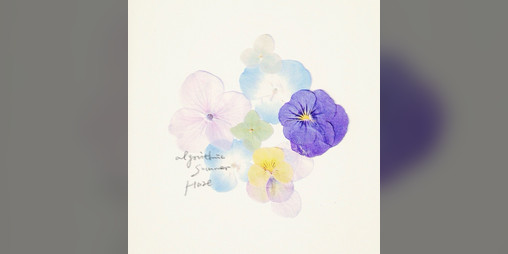Cover image for 算法夏雾・Algorithmic Summer Haze