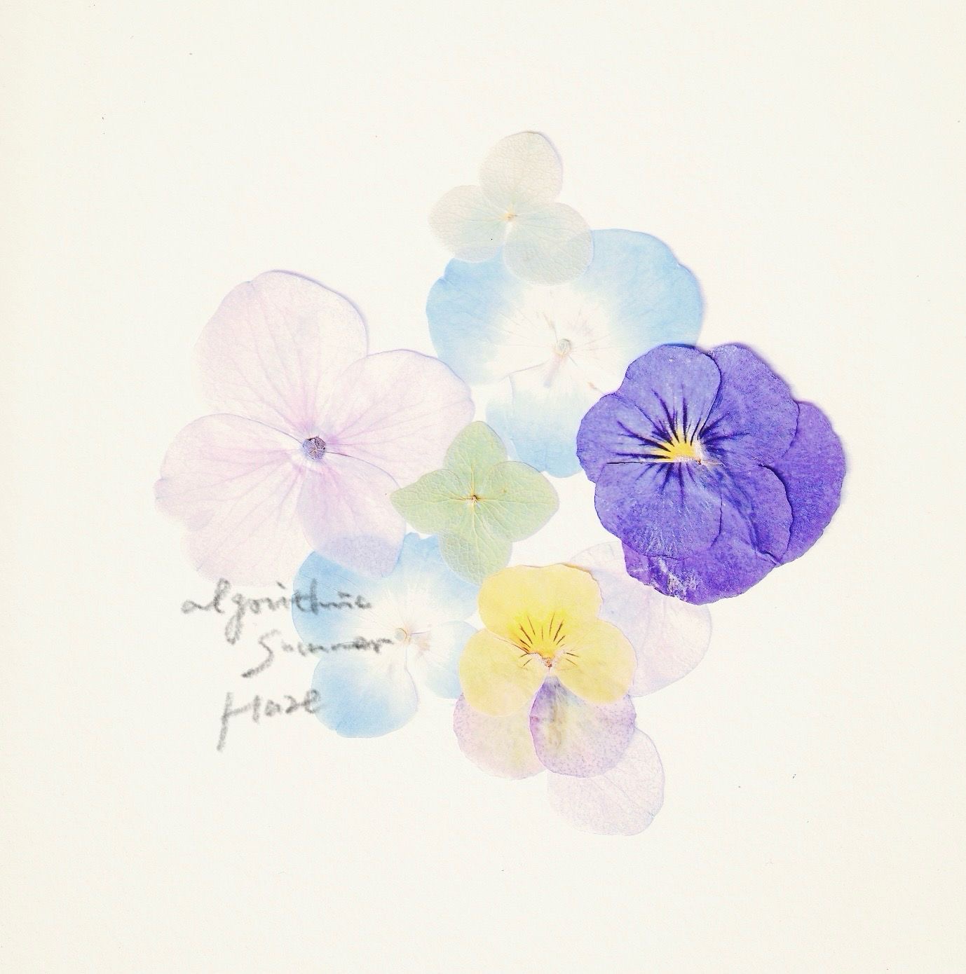 Cover image for 算法夏雾・Algorithmic Summer Haze