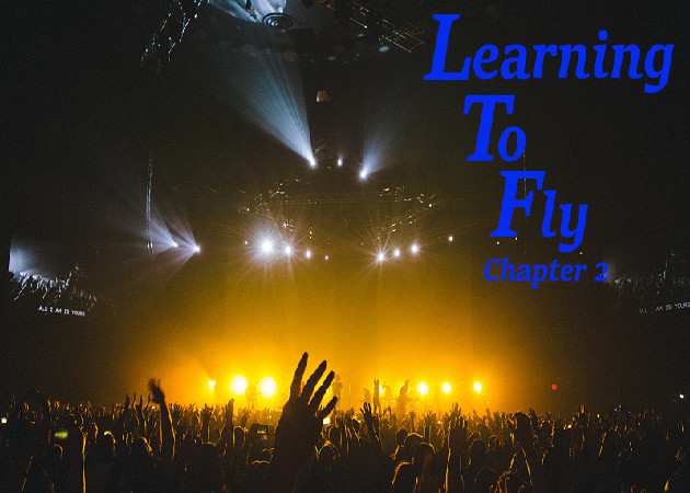 Cover image for Learning To Fly Ch2