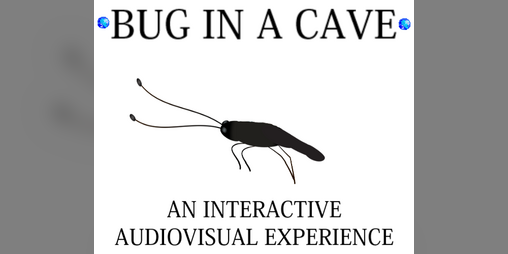 Cover image for bug in a cave