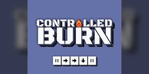 Cover image for CONTROLLED BURN