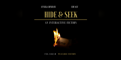 Cover image for Hide & Seek