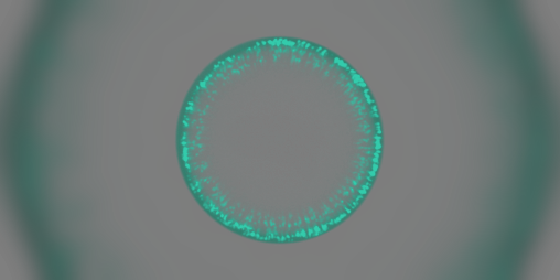 Cover image for [Tool] Image Splitter / Divisor de imagen