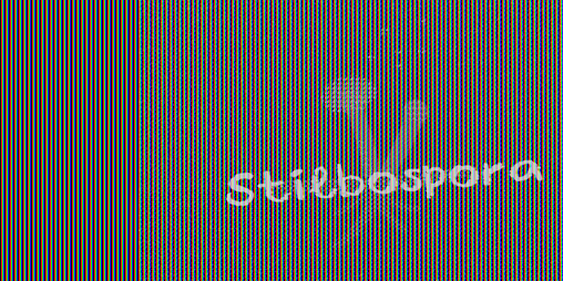 Cover image for Stilbospora