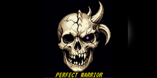 Cover image for Perfect Warrior