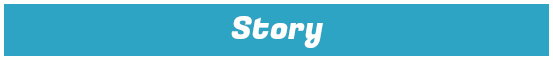 Story Section Header
