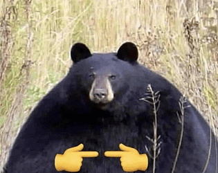 Weekly Submission2