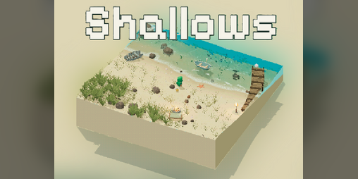 Cover image for Shallows