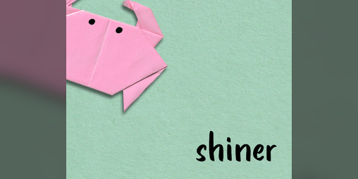 Cover image for shiner