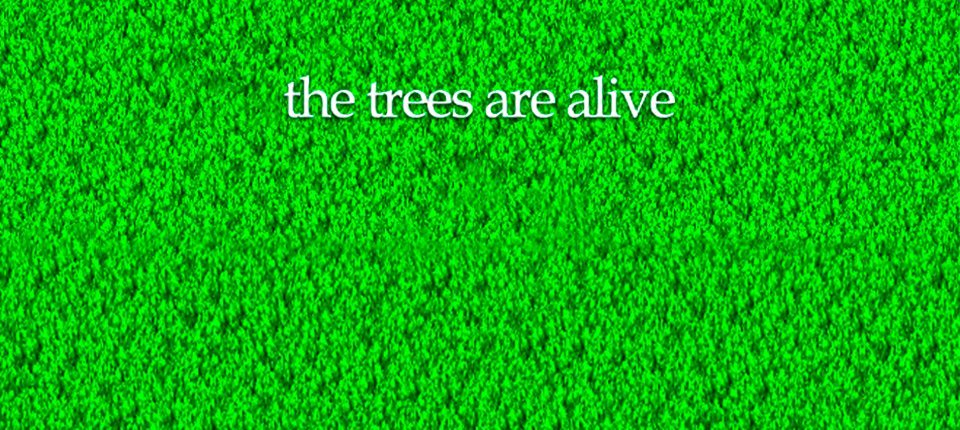 the trees are alive